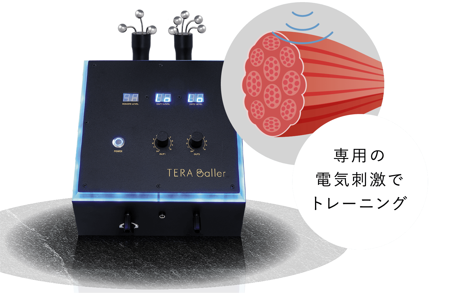 専用の電気刺激でトレーニング