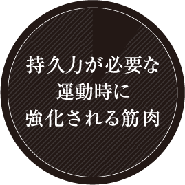 持久力が必要な運動時に強化される筋肉